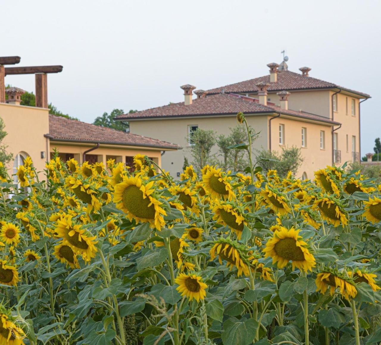 Agriturismo Villa Toscana Campiglia Marittima Kültér fotó