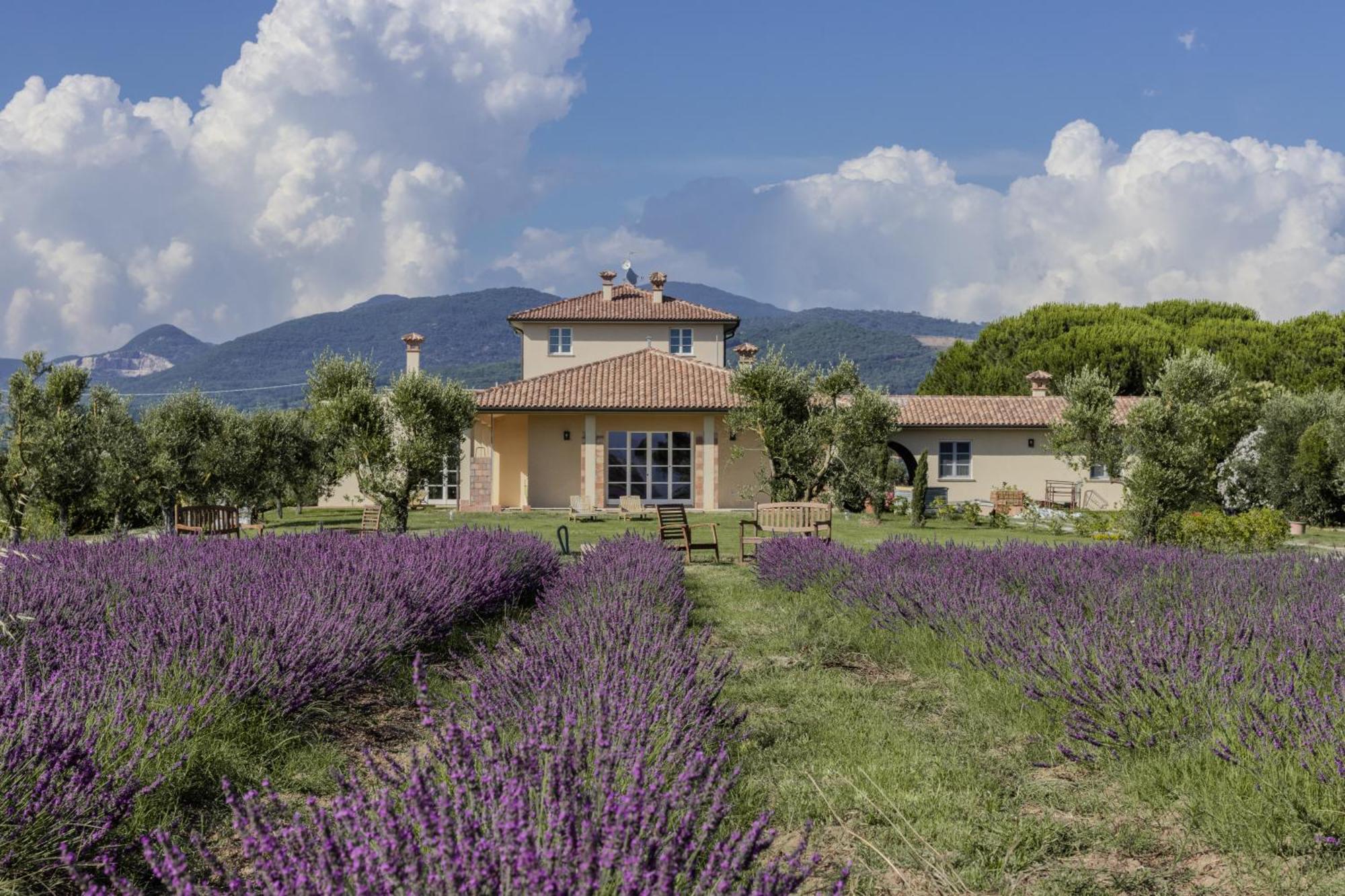 Agriturismo Villa Toscana Campiglia Marittima Kültér fotó
